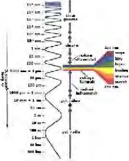 Gambar 2.2 Spektrum Gelombang Elektromagnetik (Dewi, 2010) Jumlah  total  seluruh  spektrum  disebut  spektrum elektromagnetik