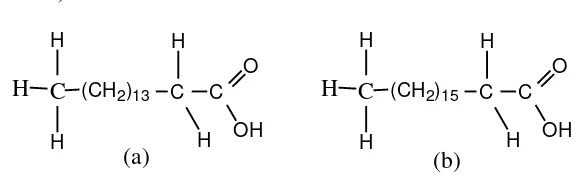 Gambar 2.1 (a) asam palmitat (b) asam stearat