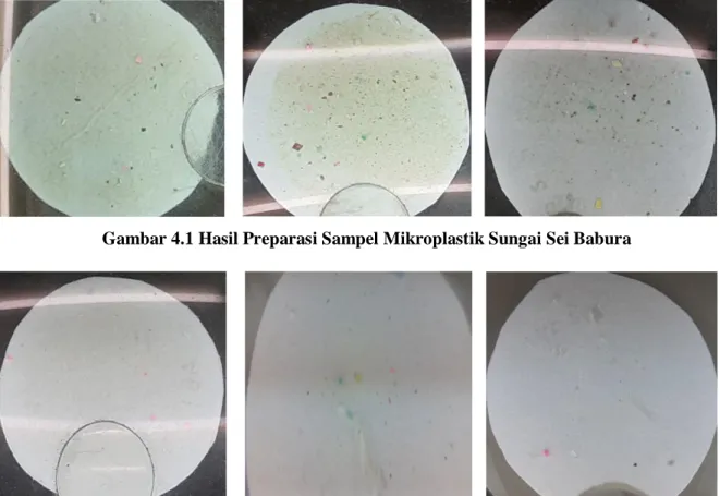 Gambar 4.1 Hasil Preparasi Sampel Mikroplastik Sungai Sei Babura 