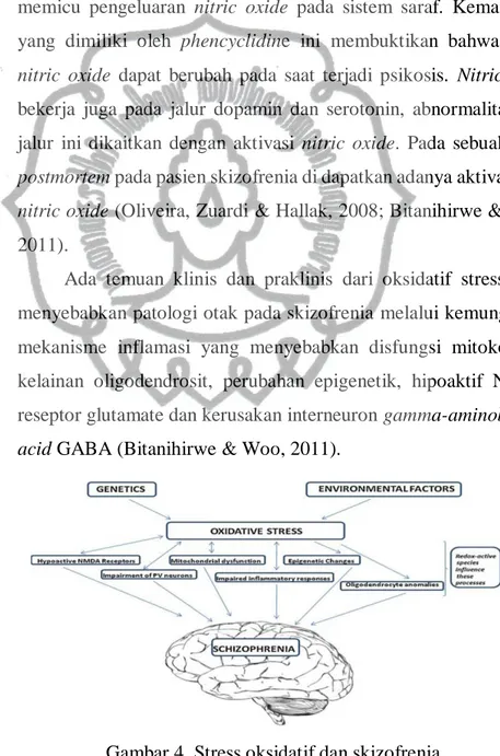 Gambar 4. Stress oksidatif dan skizofrenia  (Bitanihirwe &amp; T. U. W. Woo, 2011) 