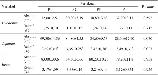 Tabel 3. Hasil pengamatan panjang absolut dan relatif  usus halus ayam pedaging  