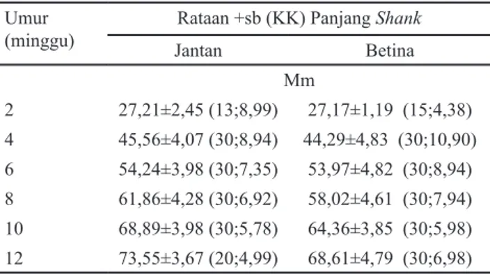 Tabel 2. Rataan lingkar shank ayam IPB D-1 G5 umur 2 sampai  12 minggu