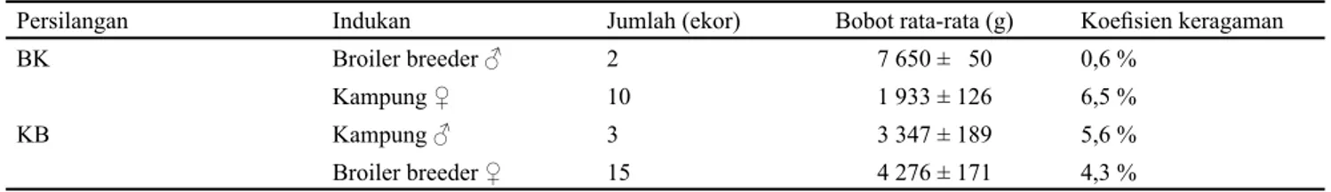Tabel 1  Jumlah dan bobot indukan ayam yang digunakan pada penelitian