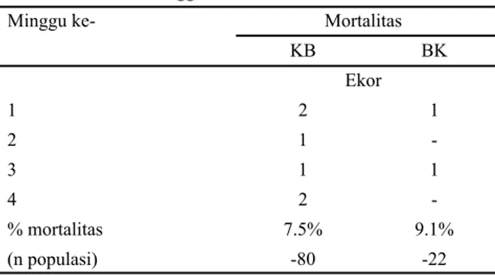 Tabel 6  Persentase mortalitas F1 KB dan BK pada umur 5-12  minggu M i n g g u  ke- KB ♂ KB ♀ Mortalitas BK ♂ BK ♀ Ekor 5 - - - 1 6 - - -  -7 - 1 -  -8 - 1 -  -9 - 1 -  -10 1 - 1  -11 - - -  -12 - - -  -%mortalitas  (n populasi) 2,5% (40) 8,8% (34) 10% (10