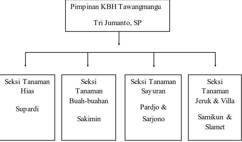 Gambar 4.1 Struktur Organisasi KBH Tawangmangu 