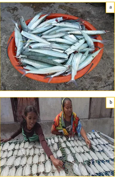 Tabel  3:  Pengeluaran  Biaya  Bahan  Baku  Pembuatan  Ikan  Asin  Balobo  Satu  Karung  45  kilogram  (Sumber:  Tjiptono, 