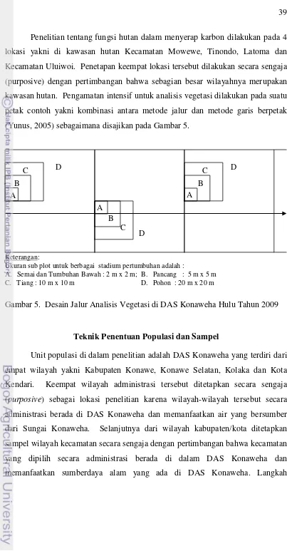 Gambar 5.  Desain Jalur Analisis Vegetasi di DAS Konaweha Hulu Tahun 2009 