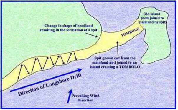 Gambar 2.3 Abrasi dan Sedimentasi Akibat Arus Longshore Current 