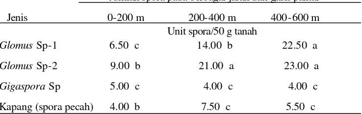 Tabel 1. Jenis  CMA dan jumlah spora pada berbagai jarak dari garis pantai di               tanah pasir pantai Kawasan Pantai Samas Kabupaten Bantul DIY 