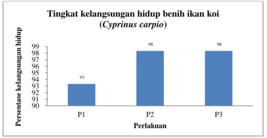 Gambar 2. Grafik kelangsungan hidup benih ikan koi (Cyprinus carpio) 