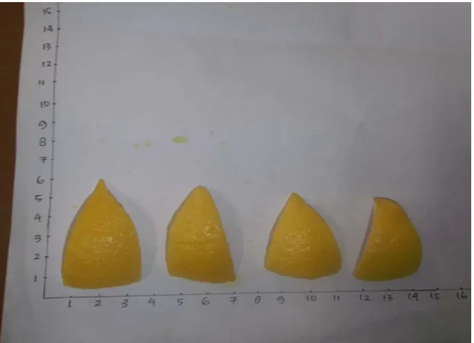 Gambar 2.9 Tanaman jeruk lemon yang diambil                 dari internet pada 10 Mei 2012 