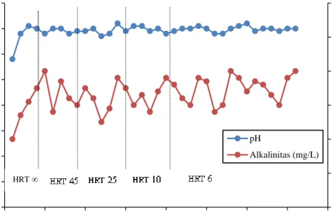 Gambar 4.2 Pengaruh HRT Terhadap Profil pH dan Alkalinitas 