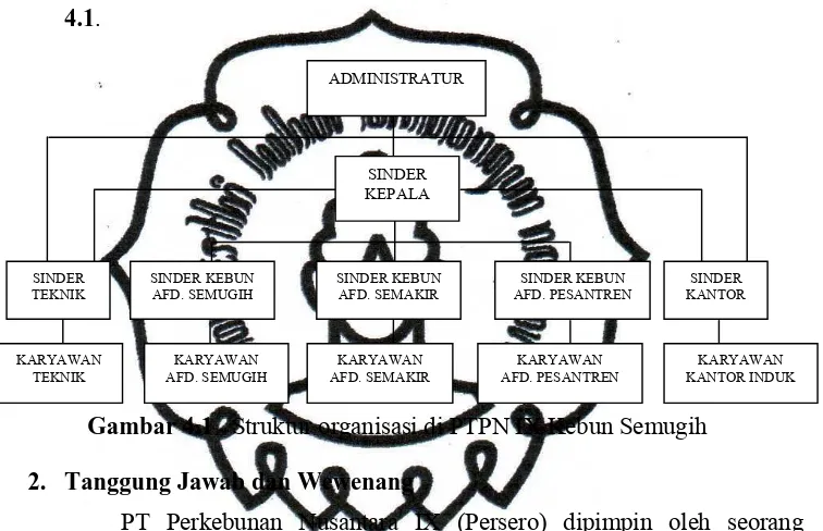 Gambar 4.1   Struktur organisasi di PTPN IX Kebun Semugih 
