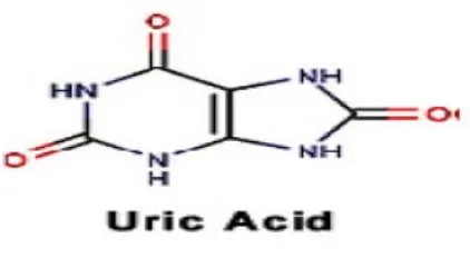 Gambar 2.3 Struktur Kimia Asam Urat 