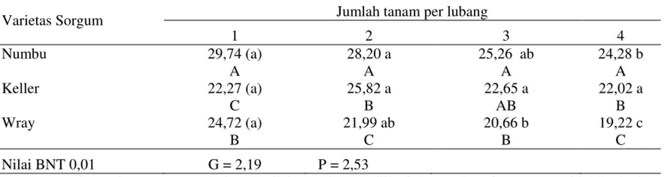 Tabel  8.  Interaksi  varietas  dan  populasi  pada  variabel  pengamatan  panjang  kecambah  normal  pada  pengusangan cepat menggunakan etanol 8% 