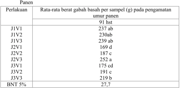 Tabel 5. Rata-rata Berat Gabah Basah Per Sampel (g) Pada Pengamatan Umur Panen