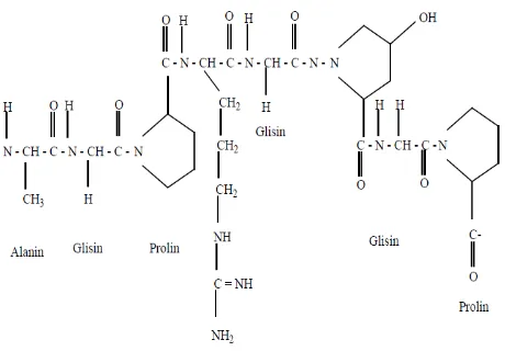 Gambar 2. Struktur kimia gelatin (Chaplin, 2005) 
