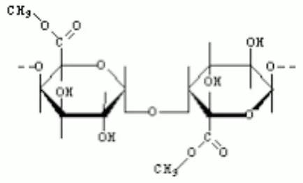 Gambar 4. Struktur kimia pektin (Winarno, 1985) 