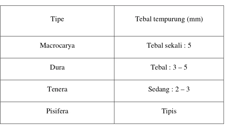 Tabel 2.1.1.1 Beda Tebal Tempurung dari Tipe Kelapa Sawit 
