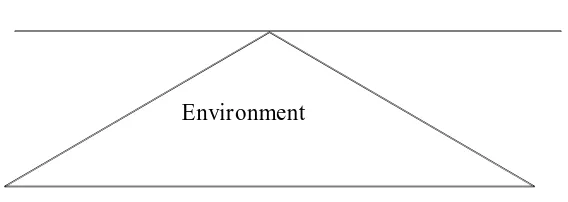 Gambar 2.3 Model triangle epidemiologi 