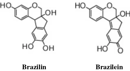 Gambar 2.1 Strukturkimia Brazilin dan Brazilein (Lioe, dkk., 2012). 
