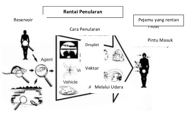 Gambar 1. Rantai Penularan Penyakit 