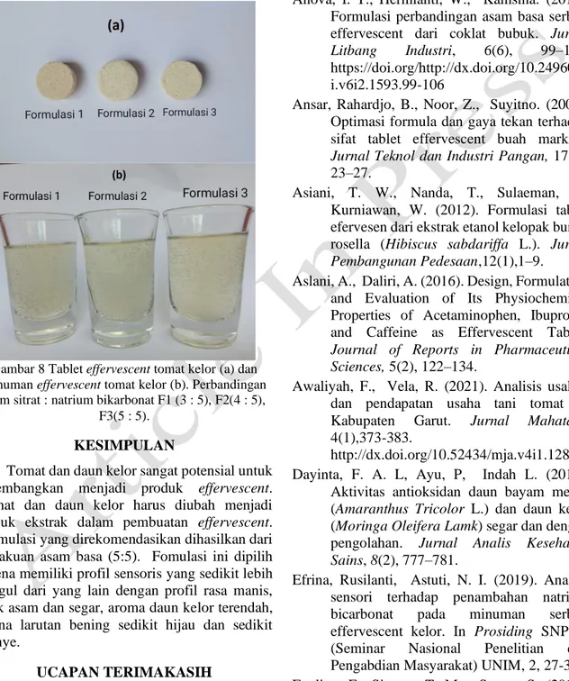 Gambar 8 Tablet effervescent tomat kelor (a) dan  minuman effervescent tomat kelor (b)