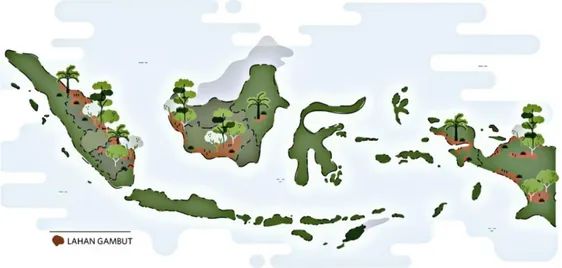 Gambar 2. 1 Peta Persebaran Gambut di Indonesia  