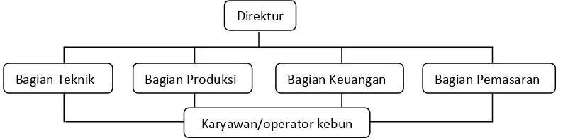 Gambar 2.  Struktur organisasi CV Spirit Wira Utama 