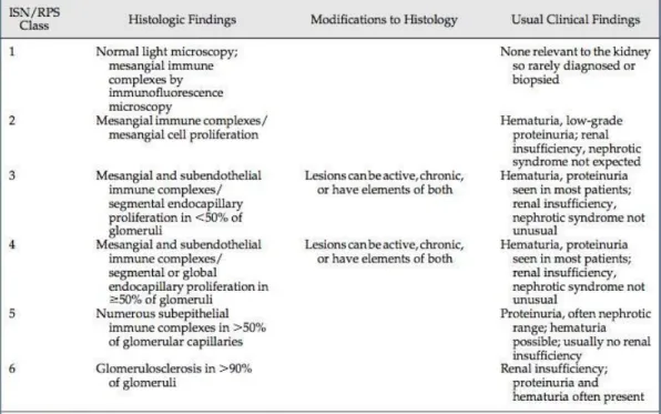 Table 4. The histologic classification of lupus nephritis 