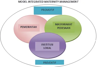 Gambar 1.  Model  Integrated Maternity Management dengan penguatan aspek Promotif dan Preventif