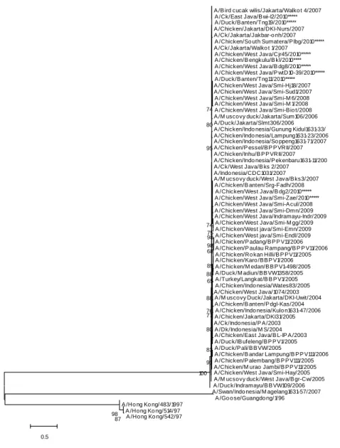 Gambar 6.  Pohon filogenetik virus AI subtipe H5N1 pada aras gen NA.  Virus yang  digunakan