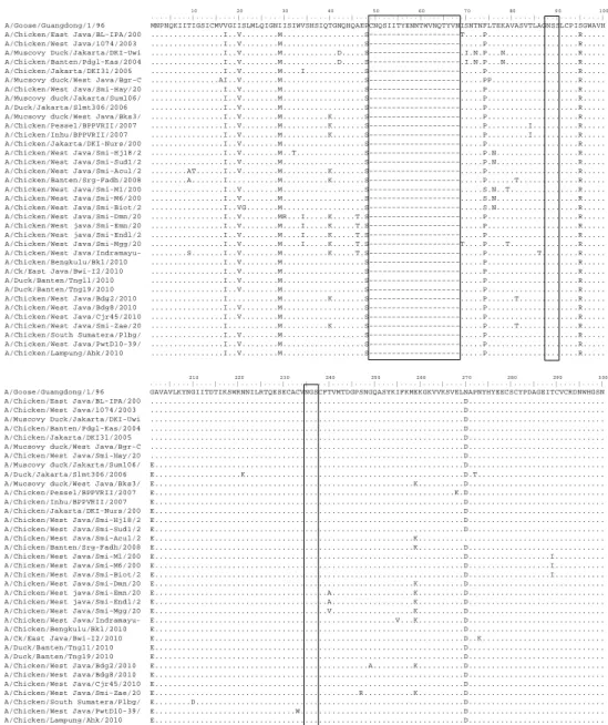 Gambar 5. Multiple alignment protein NA virus AI subtipe H5N1 tahun 2003-2010. Sekuen