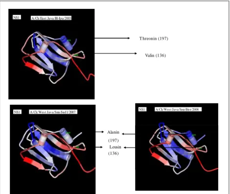 Gambar 3.  Visualisasi tiga dimensi protein NS1. Tanda panah menunjukkan lokasi subtitusi asam amino pada protein NS1 
