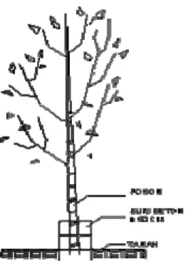 Gambar 10. Cara penanaman pohon (Hasfram Dian Konsultan, 1995) 