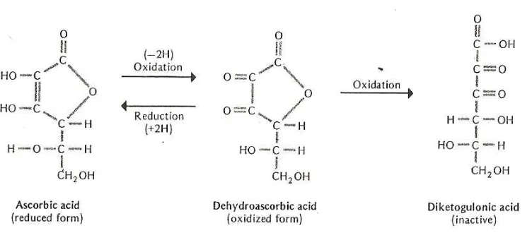 Gambar 2. Reduksi-Oksidasi dari Vitamin C 