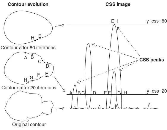 Figure 1.7Types of MPEG-7 camera motion [11]