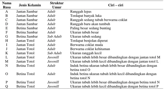 Tabel 1.   Individu rusa sambar (Cervus unicolor) dan rusa totol (Axis axis) pada penelitian perilaku sosial rusa sambar (Cervus unicolor) dan rusa totol (Axis axis) di Kandang Penangkaran PT