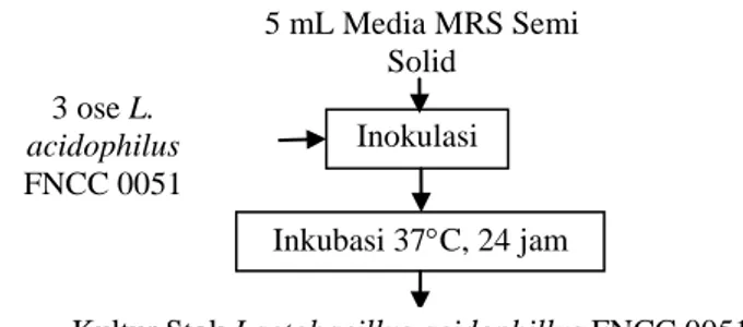 Gambar 4.1. Diagram Alir Peremajaan Kultur Stok L. acidophilus FNCC 0051  Sumber: Fardiaz (1989) 