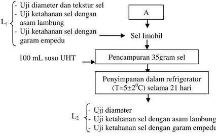 Gambar 4.3. Diagram Alir Pembuatan Sel Imobil dalam Na alginat  Sumber : Sheu and Marshall (1993); Lee and Heo (2000); 