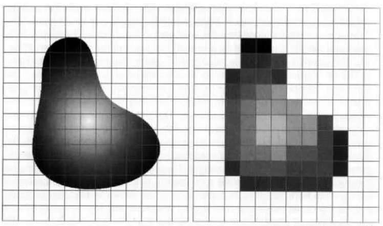 Gambar 2.1 Citra kontinu (analog) disampling oleh array sensor kuantisasi