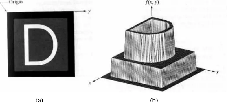Gambar 2.2 Citra asli (a) Citra diplot pada suatu permukaan (b),