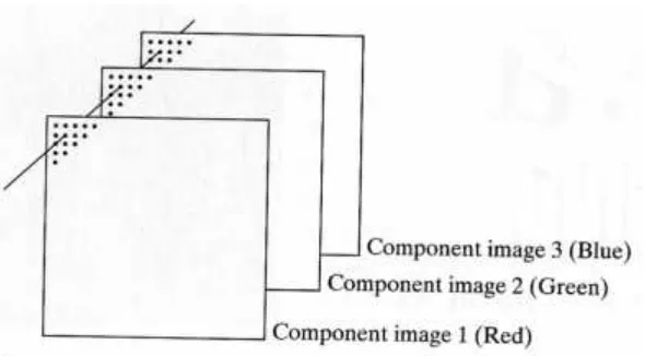 Gambar 2.3 Ilustrasi representasi kanal warna RGB pada citra