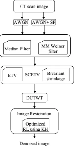 Figure 1: Architectural Flow of the Suggested SCETV De-noising Technique 