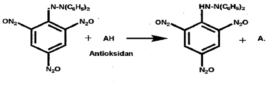 Gambar 5. Reaksi Radikal bebas DPPH dengan Antioksidan (Nina dan Hanafi, 2002) 
