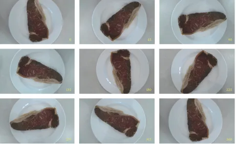 Figure 4: Samples of beef image with variation of camera angle.