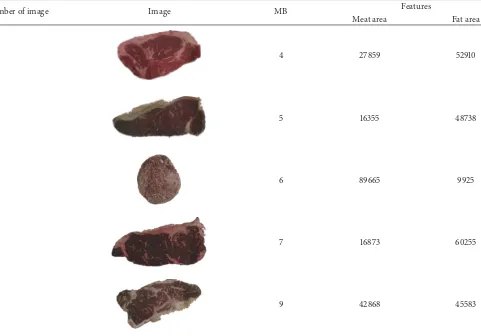 Figure 7: Decision tree for beef image with 4 MP resolutions.