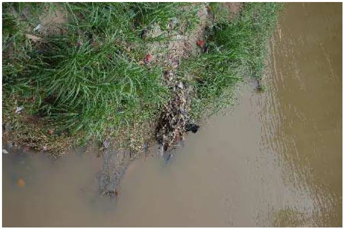 Gambar Sungai Deli yang di penuhi banyak Sampah 