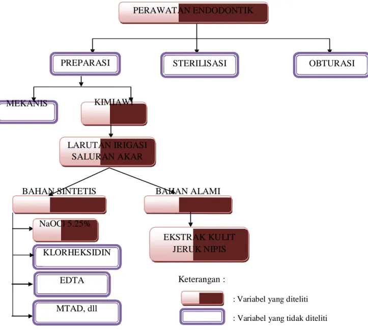 Gambar 3.2 Skema kerangka konsep
