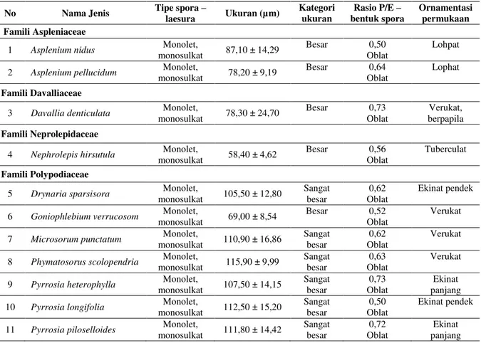 Tabel 2. Karakteristik spora paku epifit di kawasan Universitas Riau 